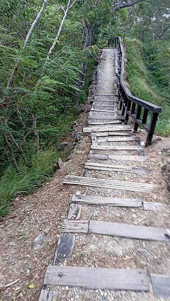 19台東市區鯉魚山步道.jpg