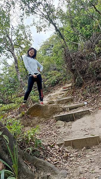 34台北內湖金面山親山步道.jpg