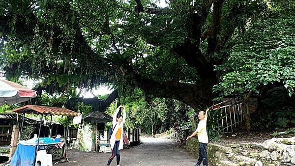 7宜蘭員山水圳生態步道.jpg