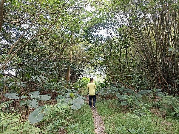 14宜蘭員山水圳生態步道.jpg