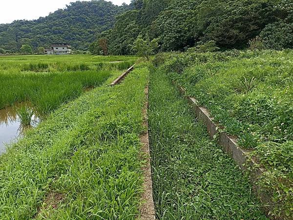 16宜蘭員山水圳生態步道.jpg