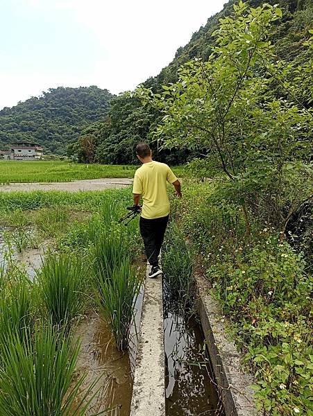 18宜蘭員山水圳生態步道.jpg