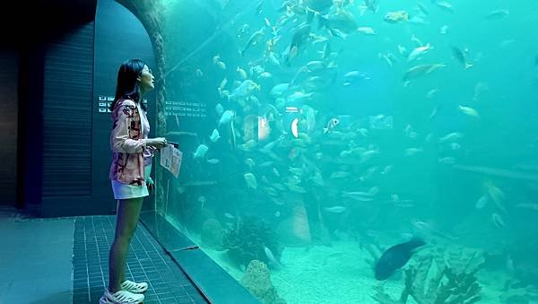 3澎湖水族館.jpg