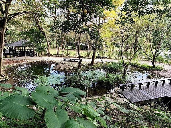 17知本國家森林遊樂園生態池.jpg