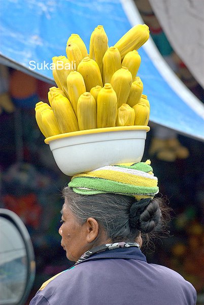 DSC_0459.jpg