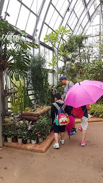 20190629_095135.jpg