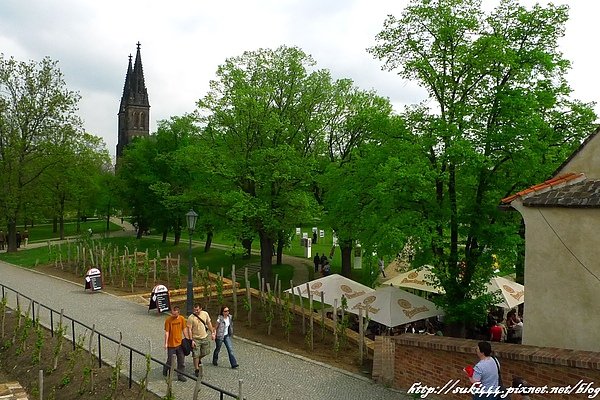 P1300149.JPG