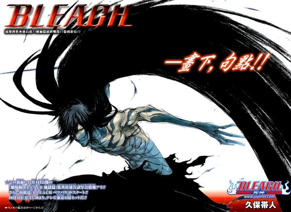 bleach.jpg