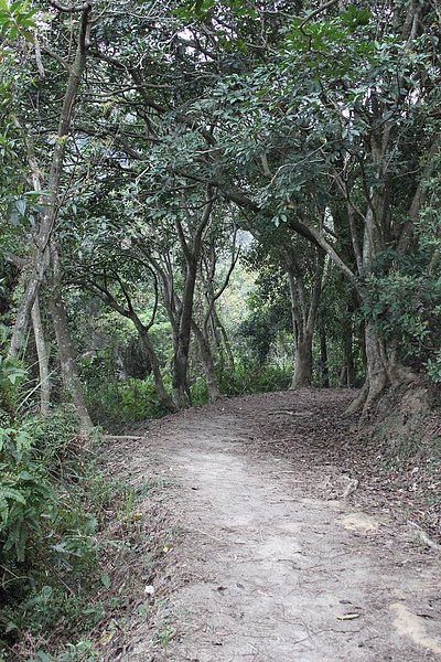 IMG_2484.JPG