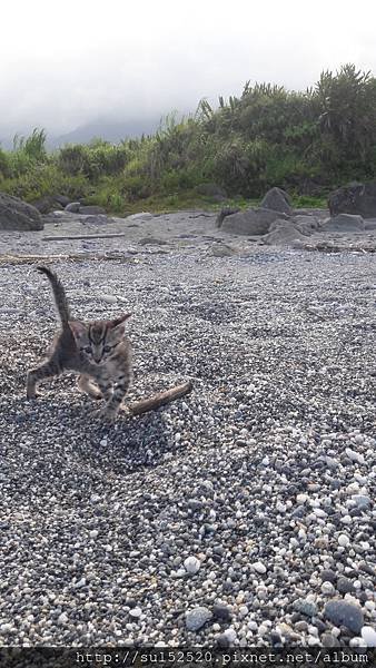 20180625_165259.jpg