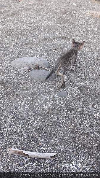 20180625_171253.jpg