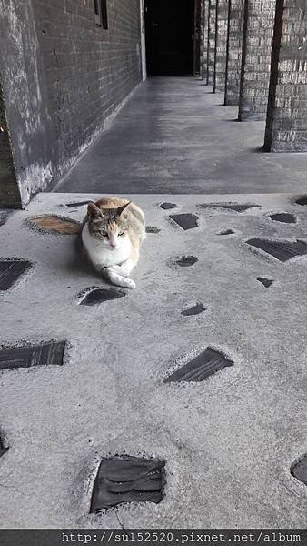 20180626_105906.jpg