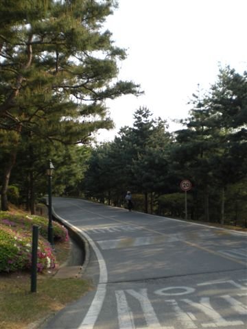 CIMG3354.JPG