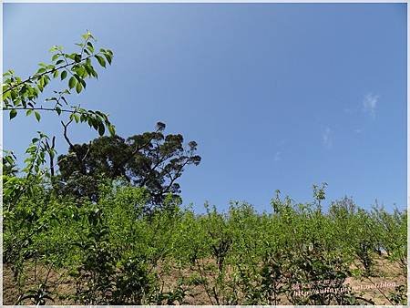 DSC09771.JPG