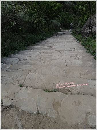黃金博物館 (146).JPG
