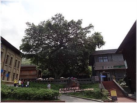 黃金博物館 (48).JPG