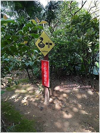 黃金博物館 (61).JPG