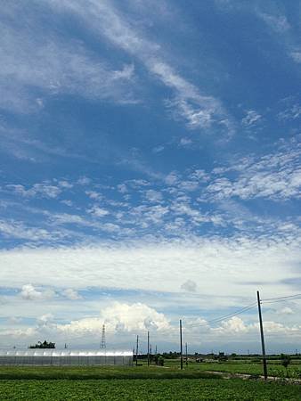 2013-05-27 11.56.55