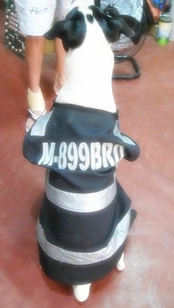 201007.JPG
