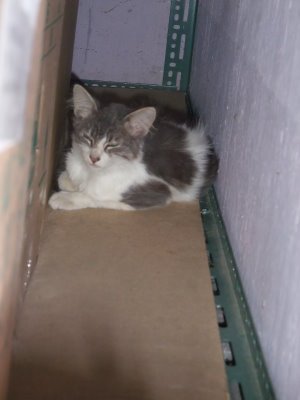 DSCF0795.JPG