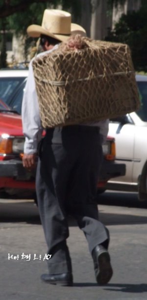 Xela 2.JPG