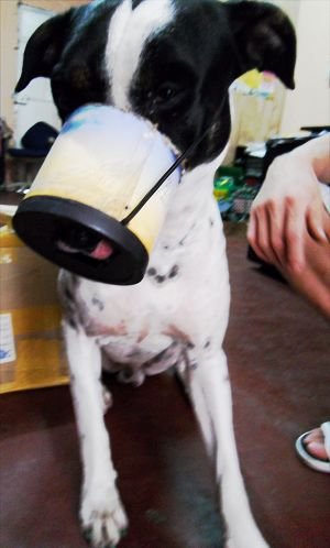 20100914.jpg
