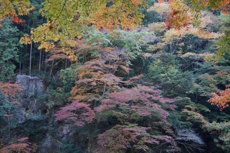 DSC08392.JPG