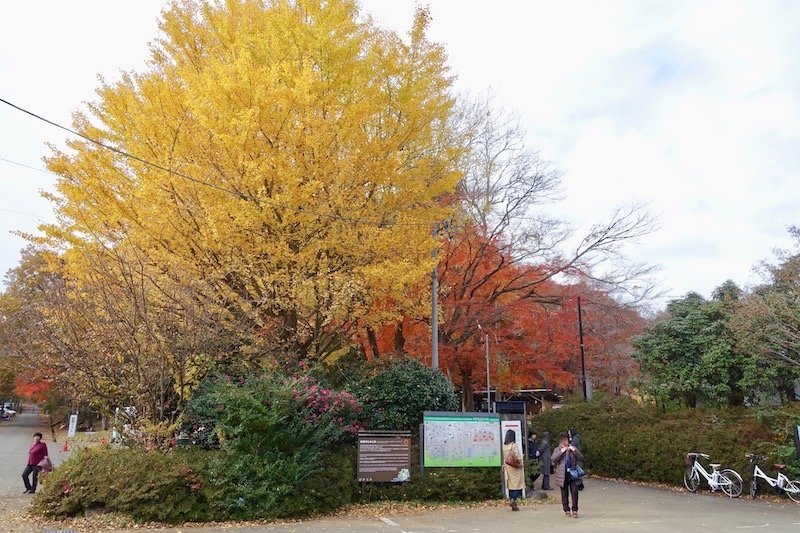 DSC01800.jpg