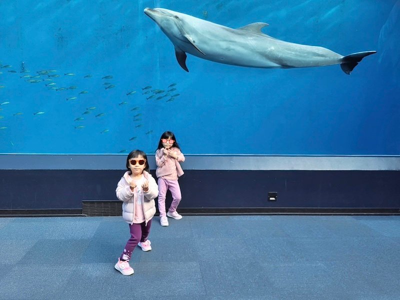 2023-11-21 東京親子賞楓旅Day3 橫濱八景島海島