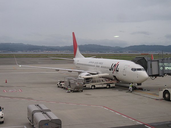 今天要搭乘的是JL310J，2008年02月交機
