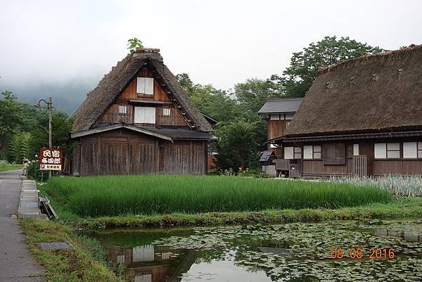 DSC05096