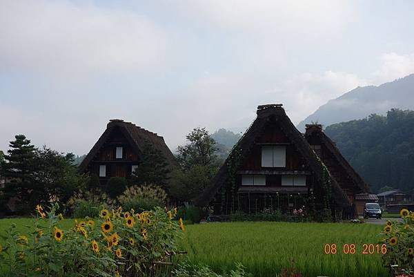 DSC05107