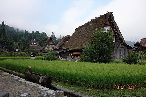 DSC05104