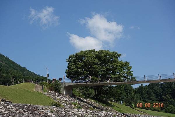 DSC05154