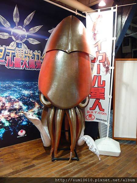 sP1150017.jpg