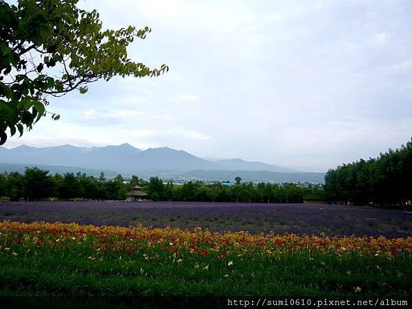 sP1150433.jpg