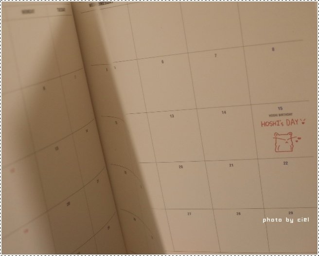 svt2019_s003.jpg