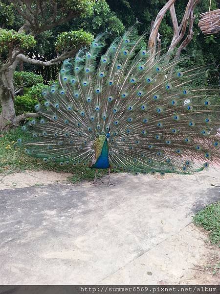 20150614_171751.jpg