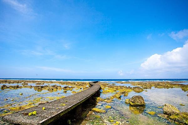 _MG_5346.jpg