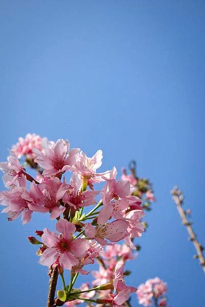 IMG_6752.jpg