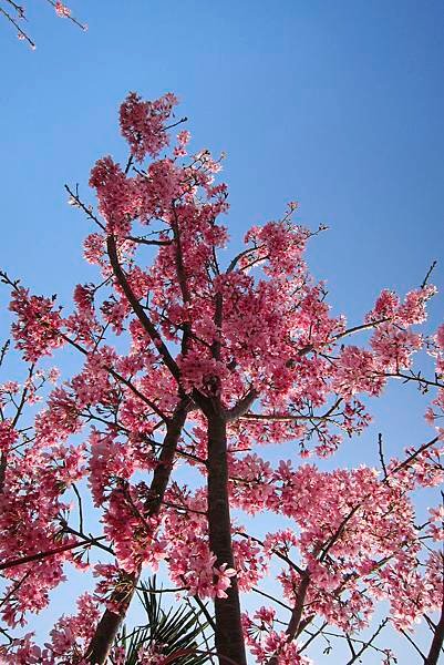 IMG_6787.jpg
