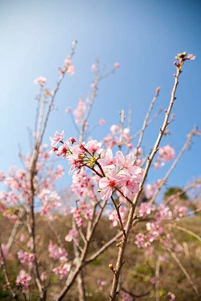 _MG_6640.jpg