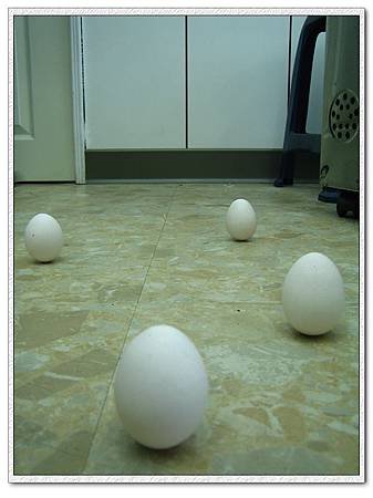 20110606 (89).jpg