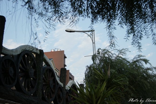 nEO_IMG_DSC01759.jpg