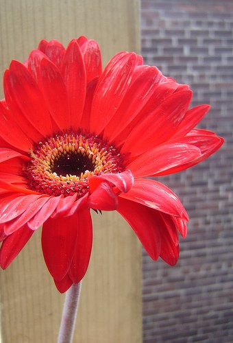 341414952_1a32a87380.jpg