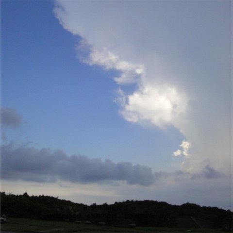 DSC02548_副本.jpg