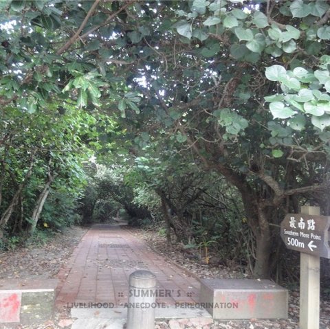 DSC02557_副本.jpg