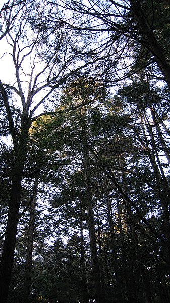 IMG_0088.jpg