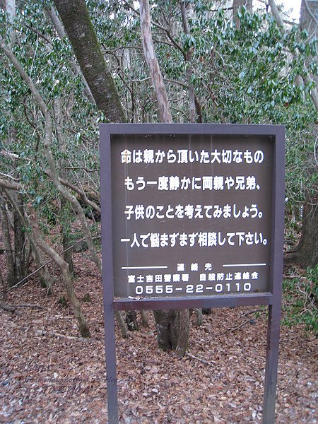 IMG_0098.jpg