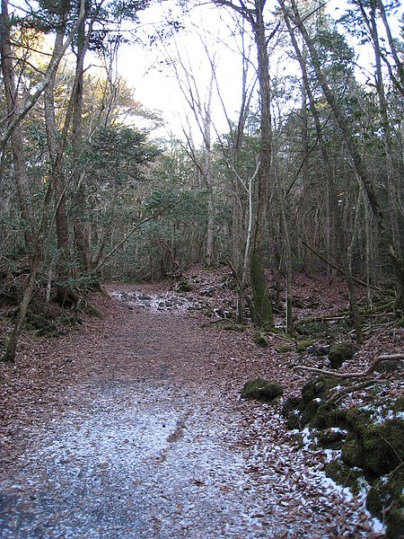 IMG_0081.jpg
